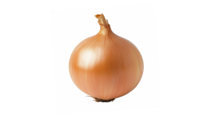 Single brown onion isolated on a black background