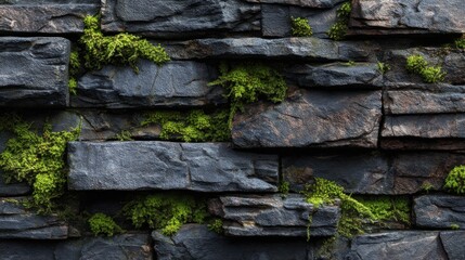 Dark stone wall with lush green moss growing