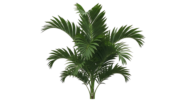 Majestic Palm Tree with Lush Green Fronds on White Background. - Powered by Adobe