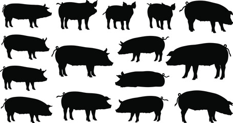 Pig silhouette set showing various poses, black farm animal icons for agriculture, livestock, rural life, breeding, and education use