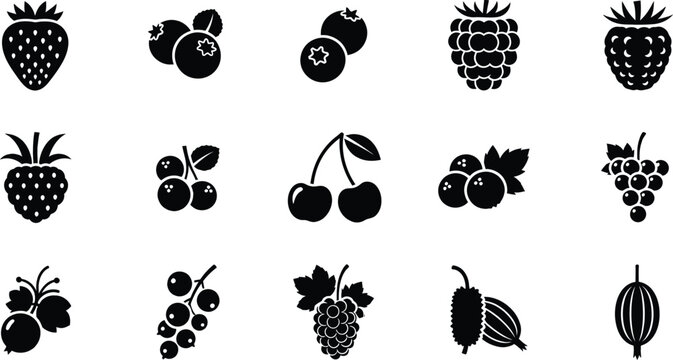 A comprehensive collection of black silhouette icons representing various types of common berries