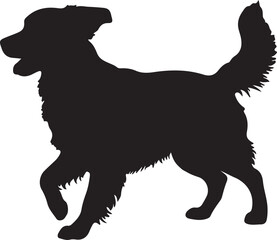 Obraz premium Buddy dog in silhouette white background.