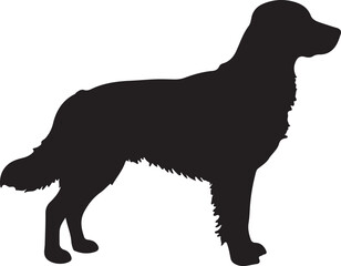 Obraz premium Leo dog in silhouette white background.