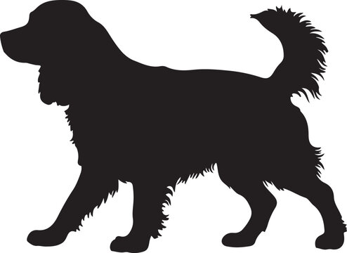  Ruby dog in silhouette white background..