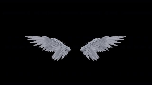 Wings, Angel Wings, Devil Wings, Use Black Background