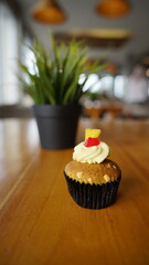 a cupcake on a white plate on a wooden table, breakfast menu in the morning, with natural lighting in the morning