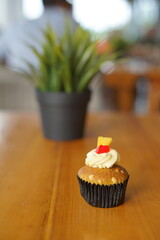 a cupcake on a white plate on a wooden table, breakfast menu in the morning, with natural lighting in the morning