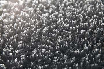 Frozen Frost Crystals Texture in Morning Sunlight