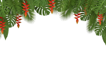 Tropical jungle leaves and red flowers border isolated on white background illustration