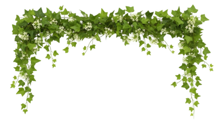 Green ivy garland border isolated on white background for wedding and spring design