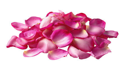 Pile of light pink rose petals lying transparent backdrop for wedding decoration