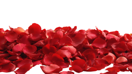 Pile of red rose petals isolated on transparent background for valentine's day greeting
