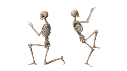 2 Dancing Human Skeletons Isolated on Black Background, Halloween Decoration, Anatomy Illustration, Spooky and Fun, Perfect for Halloween or Medical Themes