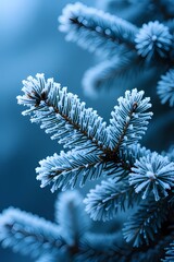 Frosted Pine Branch Macro