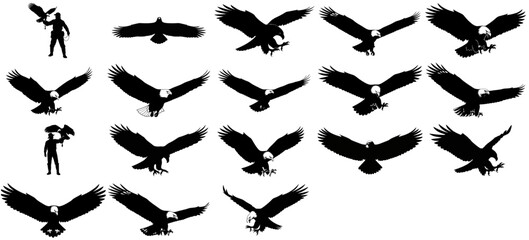 soaring silhouettes exploring the majestic bond between humans and raptors in dynamic flight sequences set, vector isolated on transparent background