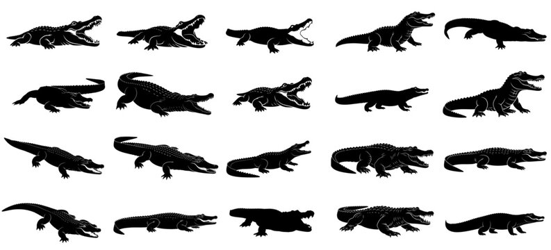 swamp titans dynamic silhouettes of ancient crocodilians, embodying primal strength, unyielding threat, and aquatic dominance set, vector isolated on transparent background
