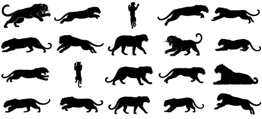 nocturnal prowess a striking collection of elusive feline forms, capturing raw instinct and unseen motion, vector isolated on transparent background