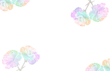 Delikatne tęczowe kwiaty Goździków na białym tle, zaproszenie, karta, tapeta. © mycatherina