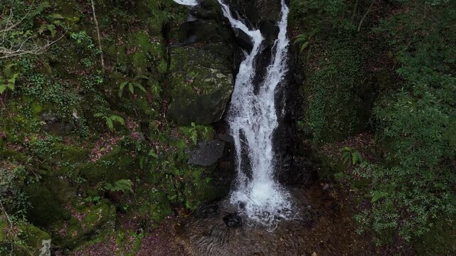 Small waterfall in the middle of the forest drone flying backwards