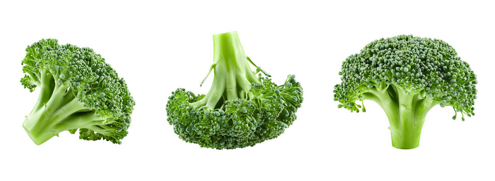Set of broccoli isolated on transparent background. PNG