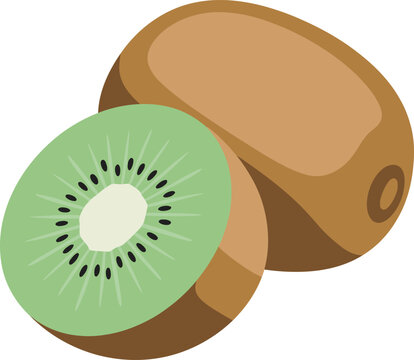 Kiwi Fruit Slice and Whole Fruit Vector Illustration