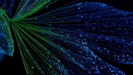 Green and blue fiber optic light strands