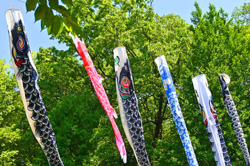 吊るされた無風のこいのぼり