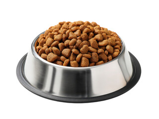 A bowl of dog food is sitting on a white background