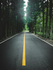 Obraz premium Asphalt road with yellow line through green forest