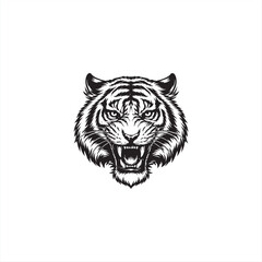 Black And White Tiger Head
