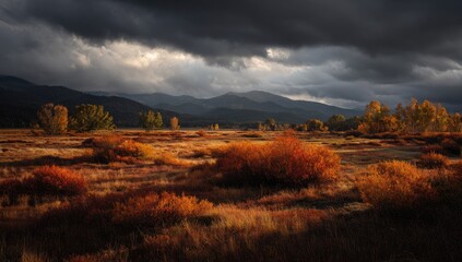 A fall landscape, with vibrant, autumn-colored foliage, under a stormy sky