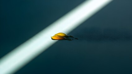 Fondo abstracto azul din&aacute;mico con degradados de color suaves y textura granulada.
 Perfecto para fondos digitales, fondos de pantalla o elementos de dise&ntilde;o que requieran un toque abstracto y elegante.