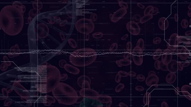 The coronavirus pandemic has had a major impact on the global economy