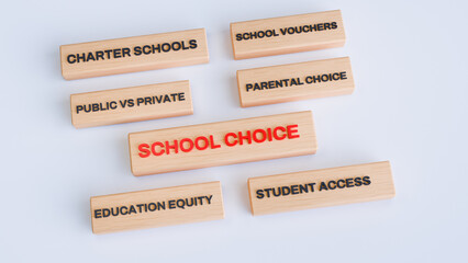 3D Wooden Blocks with School Choice, Public vs Private Schools and Education Equity Concepts