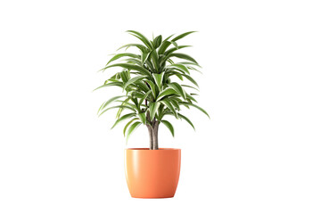 Fototapeta premium Ceramic Potted Plant Isolated on Transparent Background