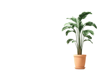 Obraz premium Small Potted Plant Isolated on Transparent Background