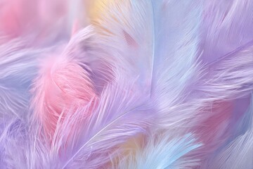 Close-up of soft, pastel-colored feathers in varying shades, evoking a delicate and airy feel