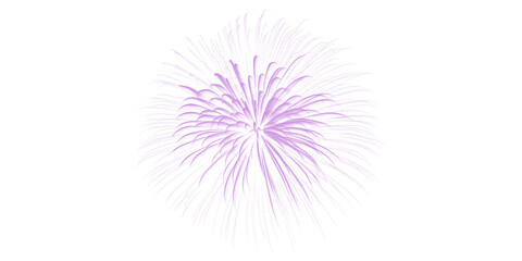 Vibrant purple fireworks explosion bursts against dark night sky celebrating festive events holiday joy new year parties