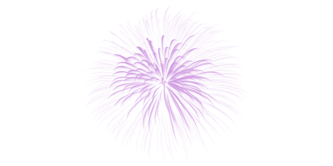 Vibrant purple fireworks explosion bursts against dark night sky celebrating festive events holiday joy new year parties