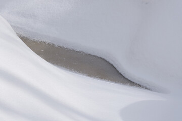 北海道　真冬の原生林