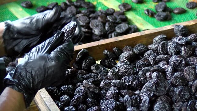 Dried Fruit Factory Working Process, Industrial Food Production Line With Fruit Drying And Processing, Modern Manufacturing Facility, Healthy Snack Production And Food Industry Technology Concept