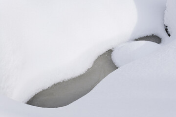 北海道　真冬の原生林