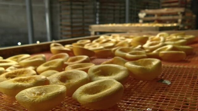 Dried Fruit Factory Working Process, Industrial Food Production Line With Fruit Drying And Processing, Modern Manufacturing Facility, Healthy Snack Production And Food Industry Technology Concept