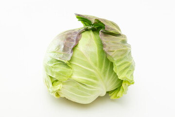 キャベツ　白バック