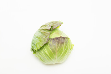 キャベツ　白バック