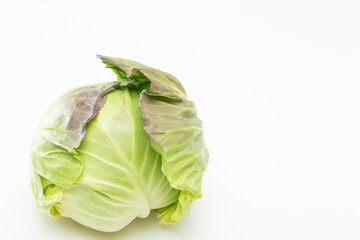 キャベツ　白バック