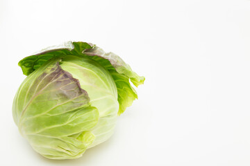 キャベツ　白バック