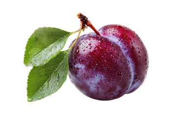 Sweet Plum isolated on transparent background