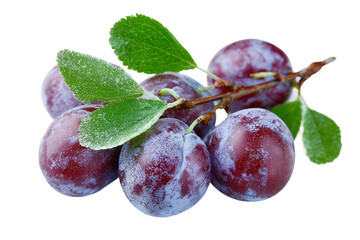Whole Plum isolated on transparent background