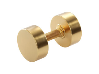 A gold dumbbell with a silver handle